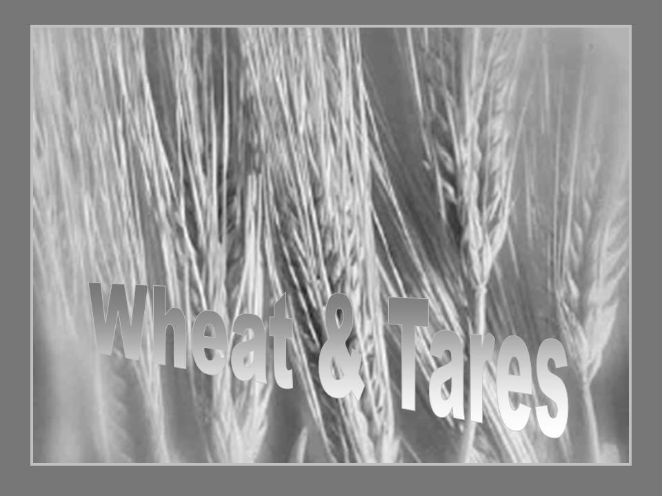Parable of the Wheat and the Tares Sermon