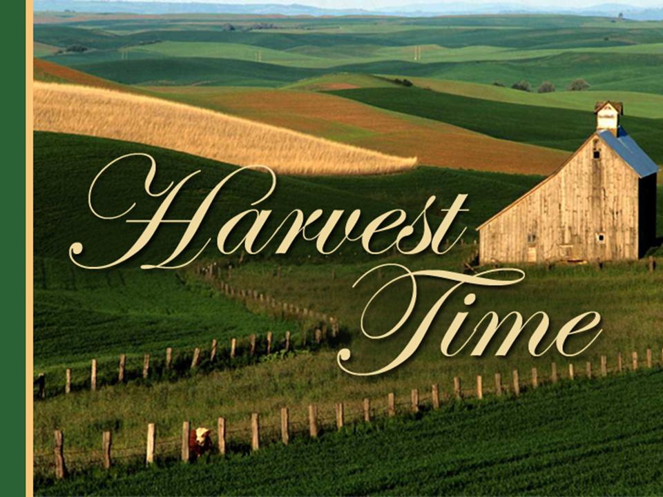 Harvest PowerPoint Sermon